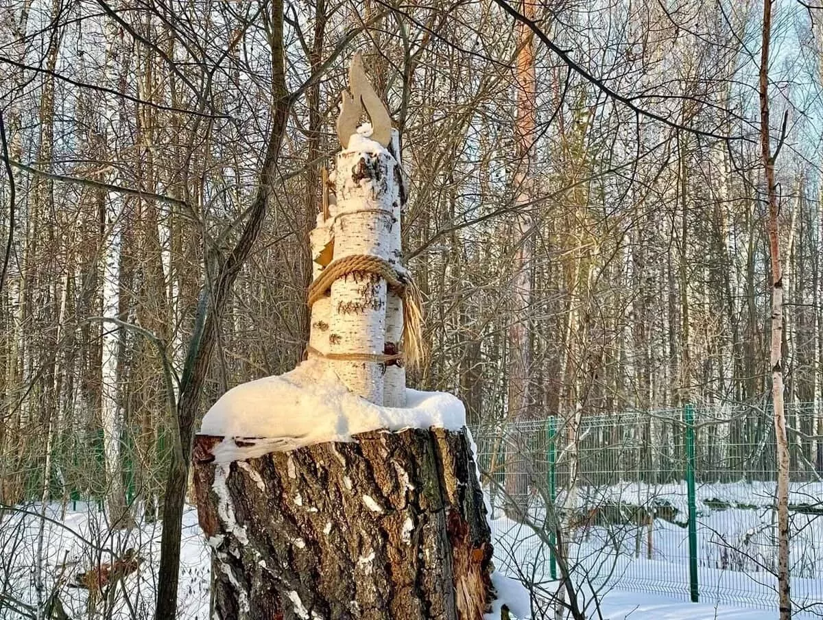 Лесная история 11