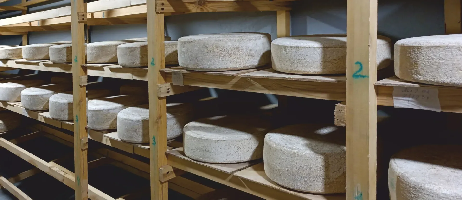 Экскурсия на сыроварню «Сырник»