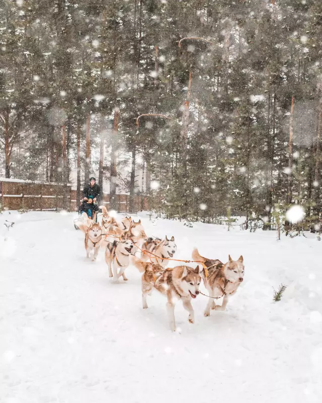 База отдыха «КУЛИГА КЛУБ»