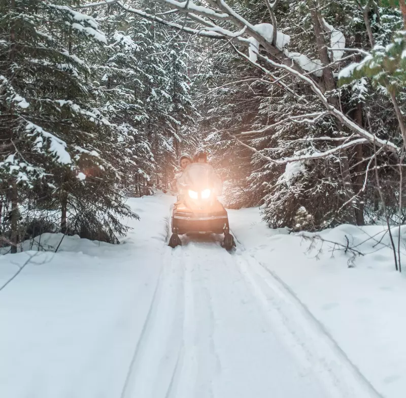 База отдыха «Верхний бор»