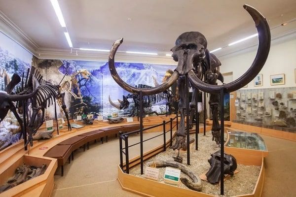 Выставка «Окно в природу»