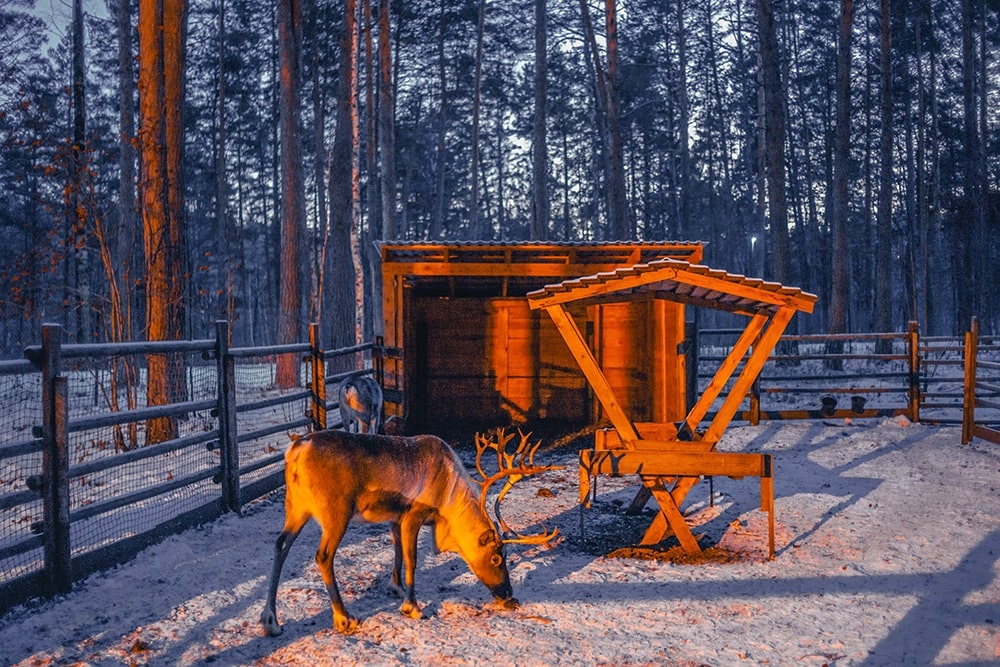 Туристический маршрут «Новогодняя сказка Сибири»  - картинка 1
