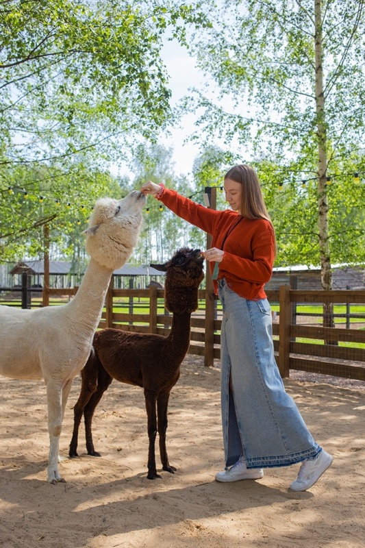 Парк альпак «Пача Мама»