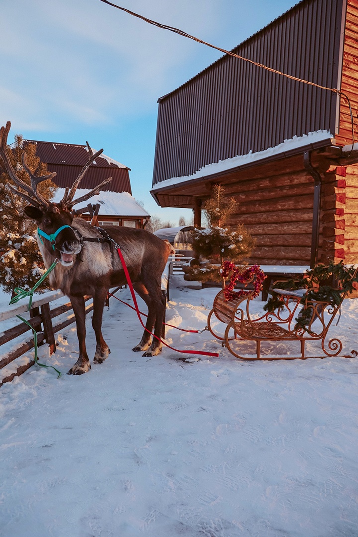 База отдыха «Поле Чудес»