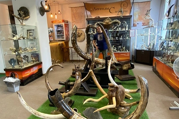 Выставка «Бивни. Рога. Копыто»