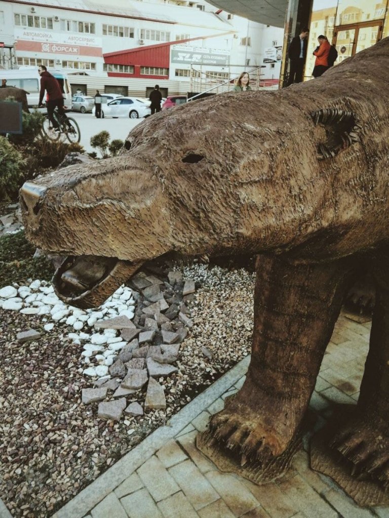 Медведь2