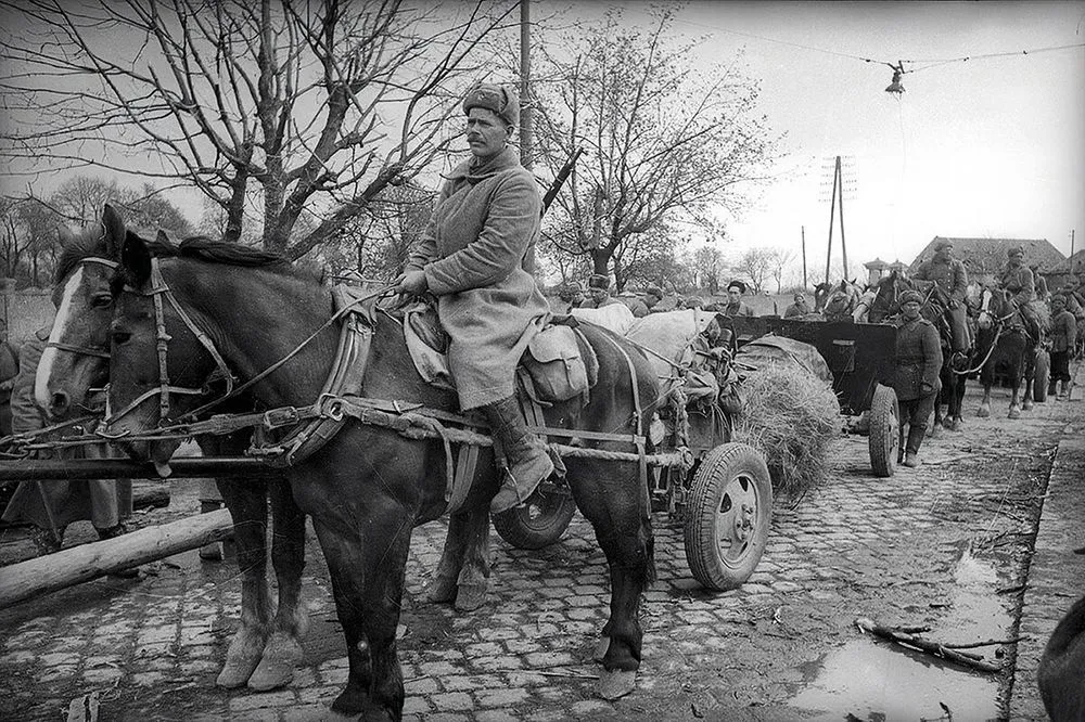 Экскурсия «Галопом по окопам, или Как мы ковали Победу вместе с лошадьми» - картинка 1