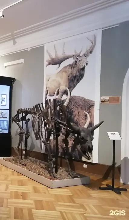 Губернский музей, Тобольск - слайд № 1