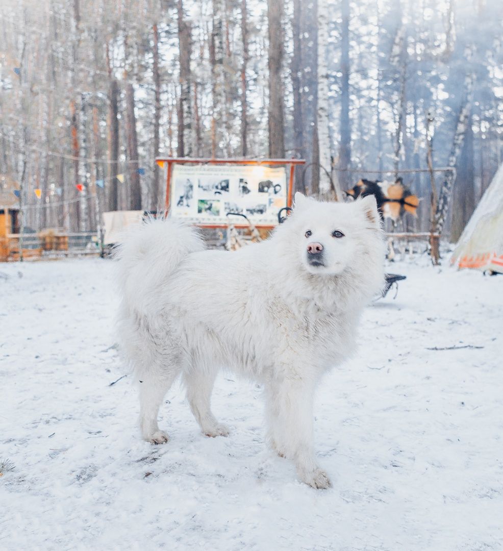 Этнопарк «Хозяева Сибири»