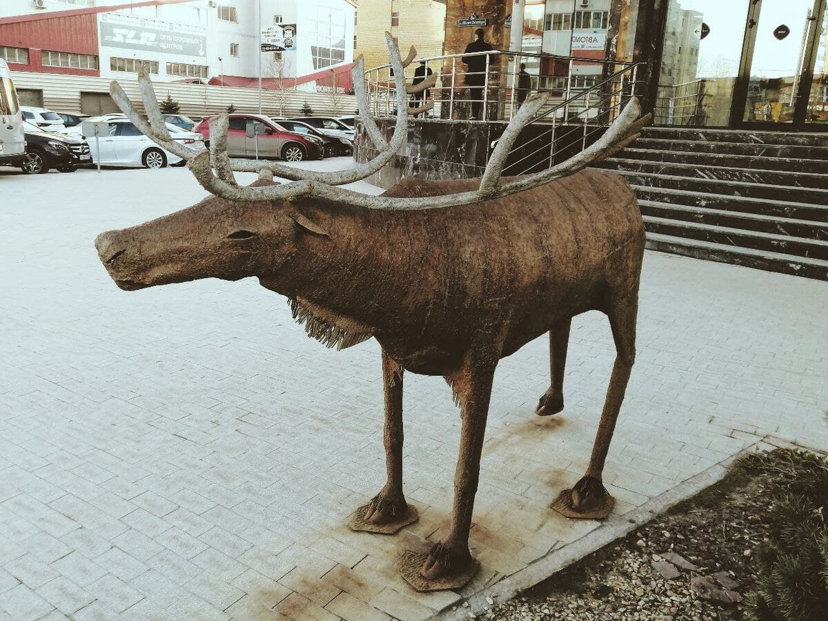 Звери5