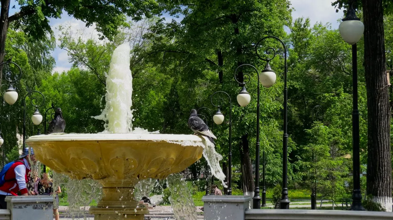AnyConv.com__original.webp