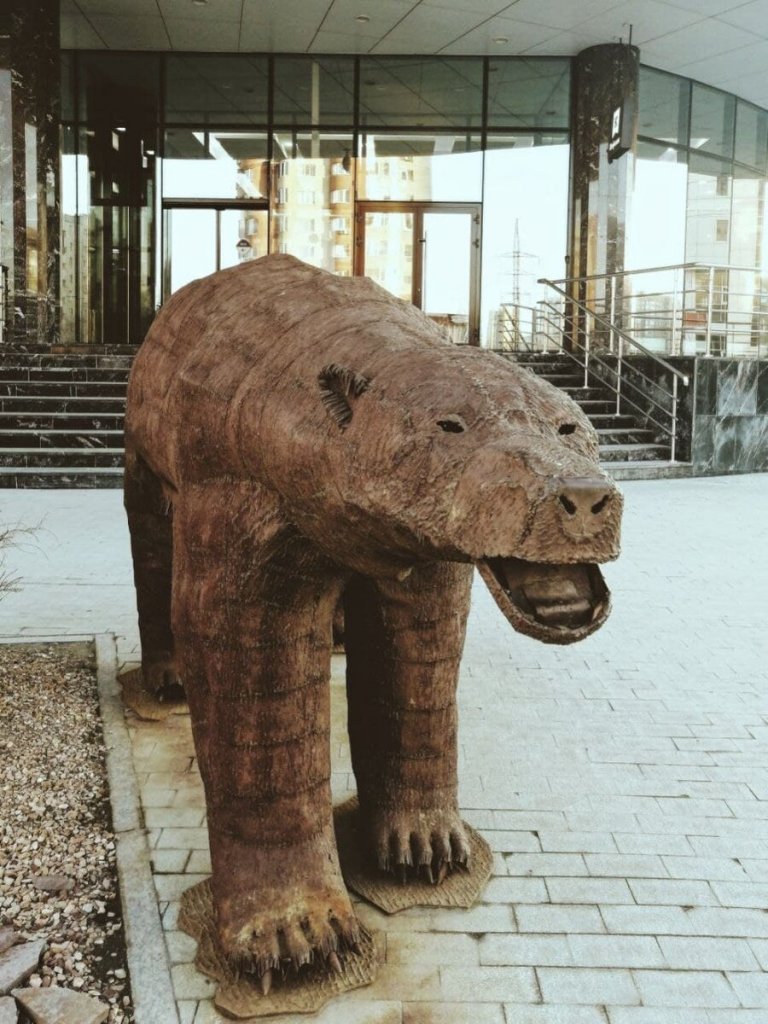Медведь1