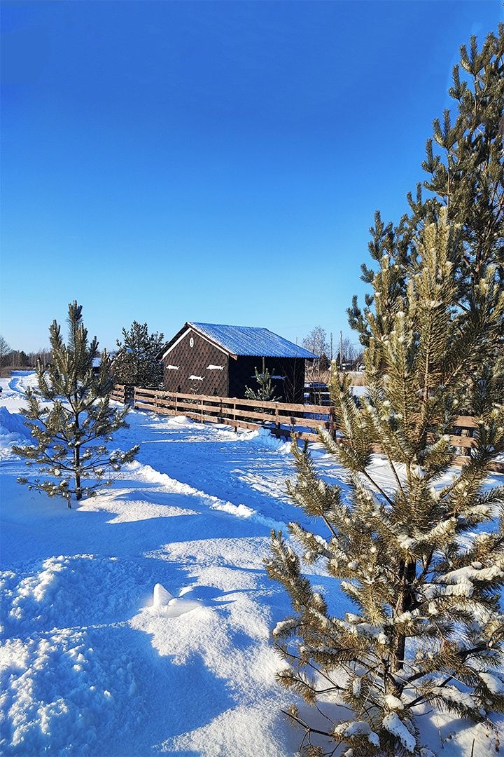 Территория семейного отдыха «Фишпарк»