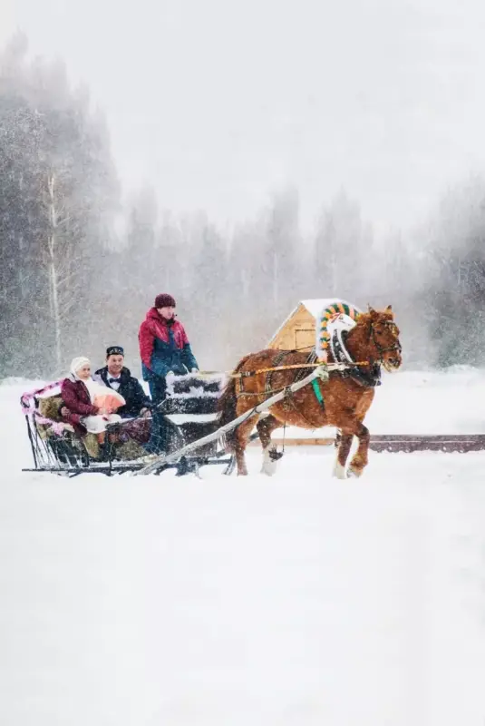 Агротуристический комплекс «Золотая подкова»