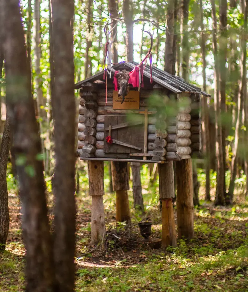 Тимур Родригез активный отдых 1-2