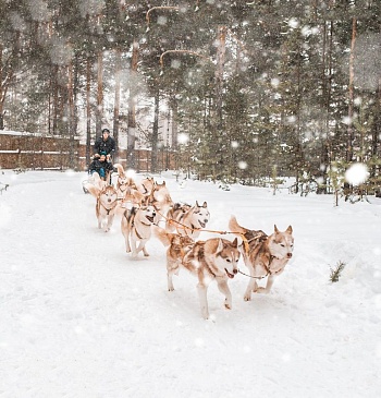 Зимние развлечения в Тюмени и за городом