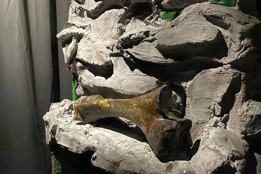 Настоящая пещера и скелет мамонта: контактный музей в Тобольске