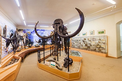 Экскурсия «Часы непосещения»